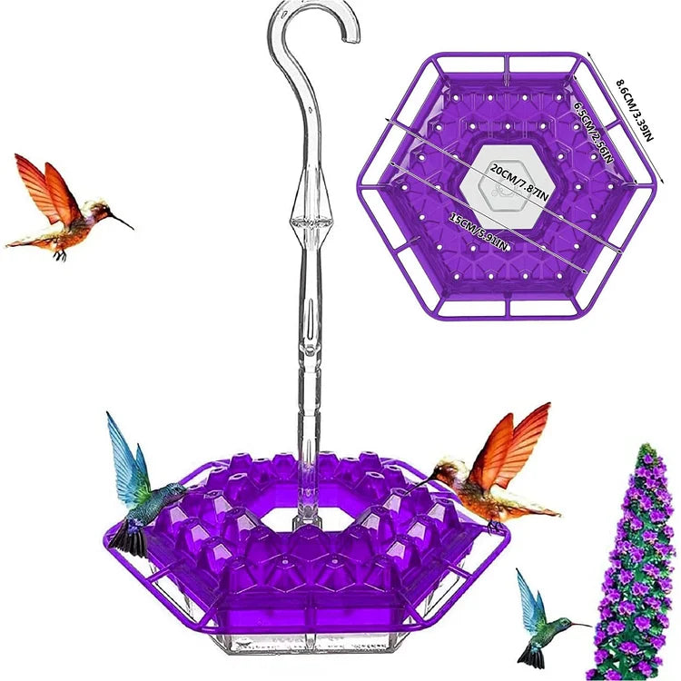 MAliben | Kolibrikracher — Create a Vibrant Bird Paradise Right In Your Garden!