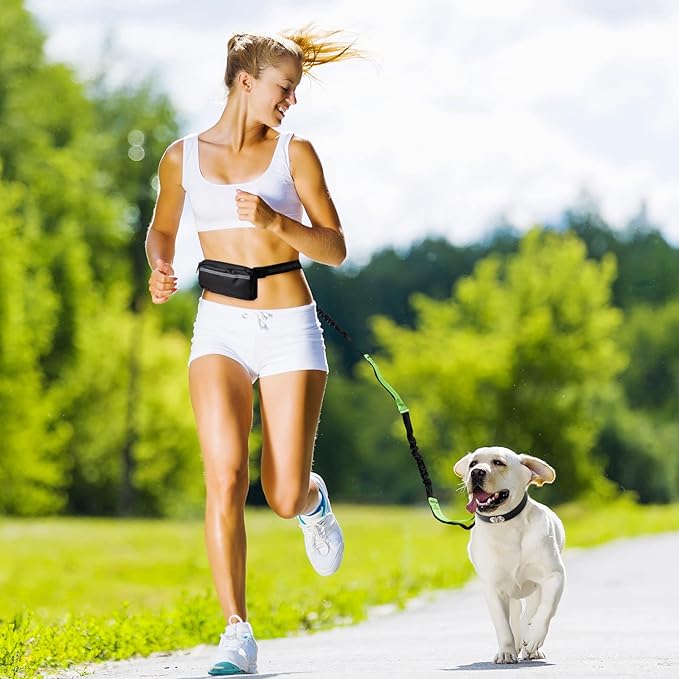 Maliben | PawsFree Pro – Enjoy Stress-free Walks With Your Dog