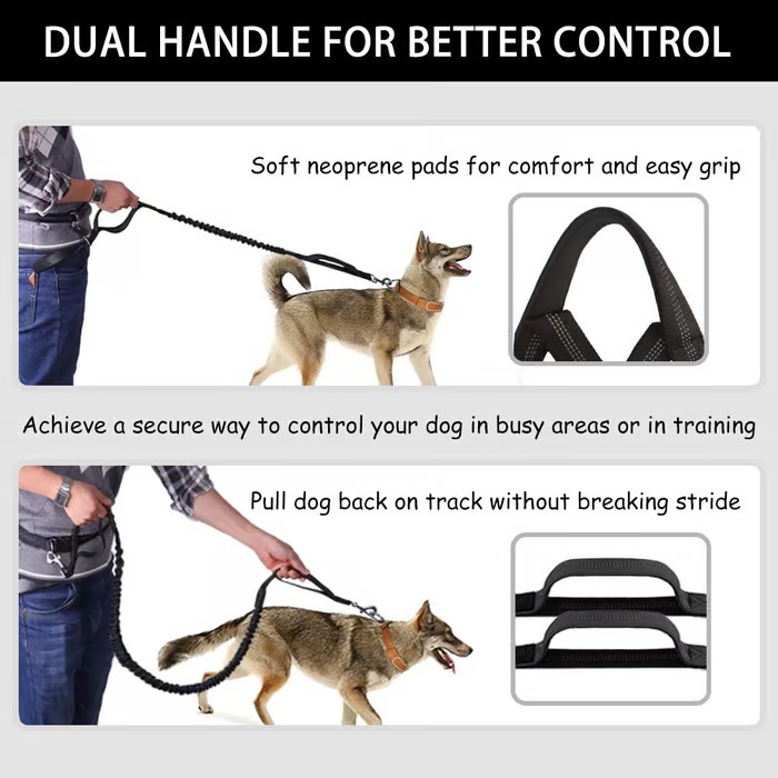 Maliben | PawsFree Pro – Enjoy Stress-free Walks With Your Dog