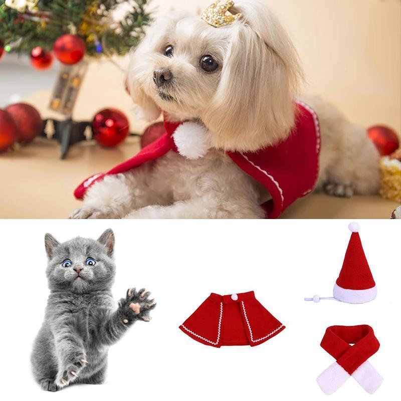 Maliben | Festivapaws – Warm Festive Pet Outfits That Attract Attention