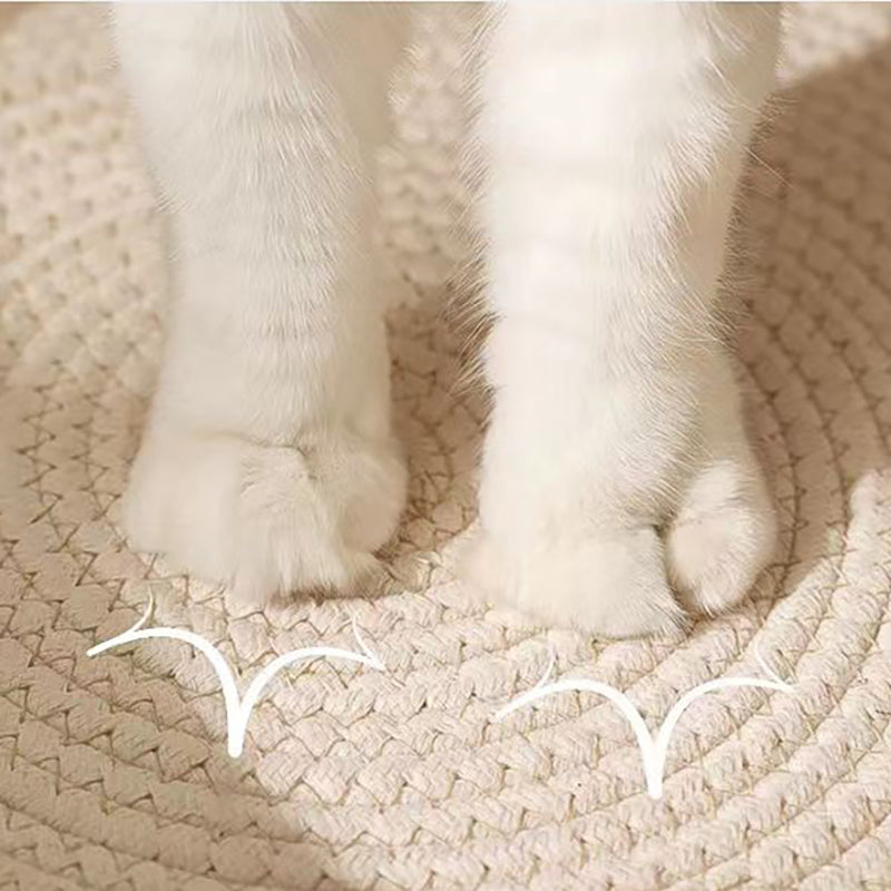 Maliben | Frostfell Chillout - The Cool Retreat That Keeps Your Cat Relaxed And Fresh Forever