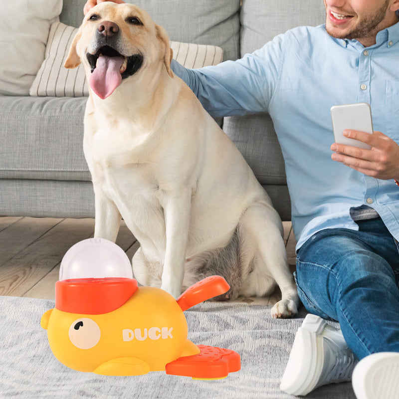Maliben | Pawyum – Engage Pets And Keep Clean Floors During Feeding