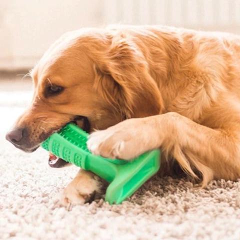Maliben | World's Most Effective Dog Toothbrush