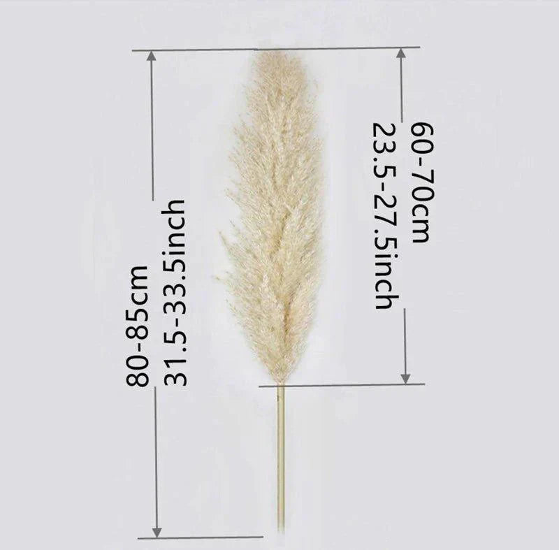 Maliben | 80 Cm Natural, Real Dried Pampas Grass Bouquet (White / Beige / Gray) │ Fluffy Feather For Modern Boho Home Decor
