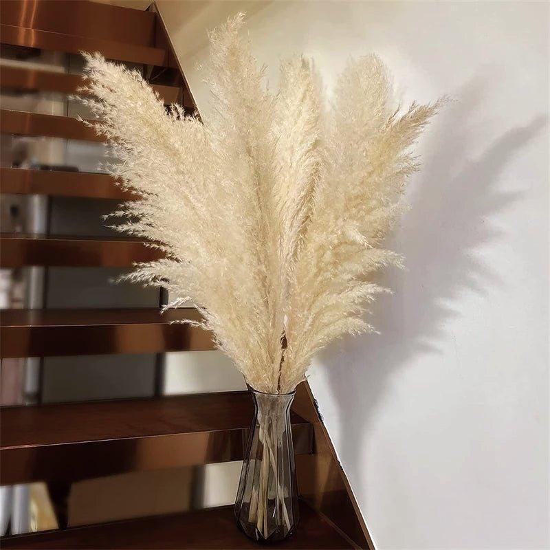 Maliben | 80 Cm Natural, Real Dried Pampas Grass Bouquet (White / Beige / Gray) │ Fluffy Feather For Modern Boho Home Decor