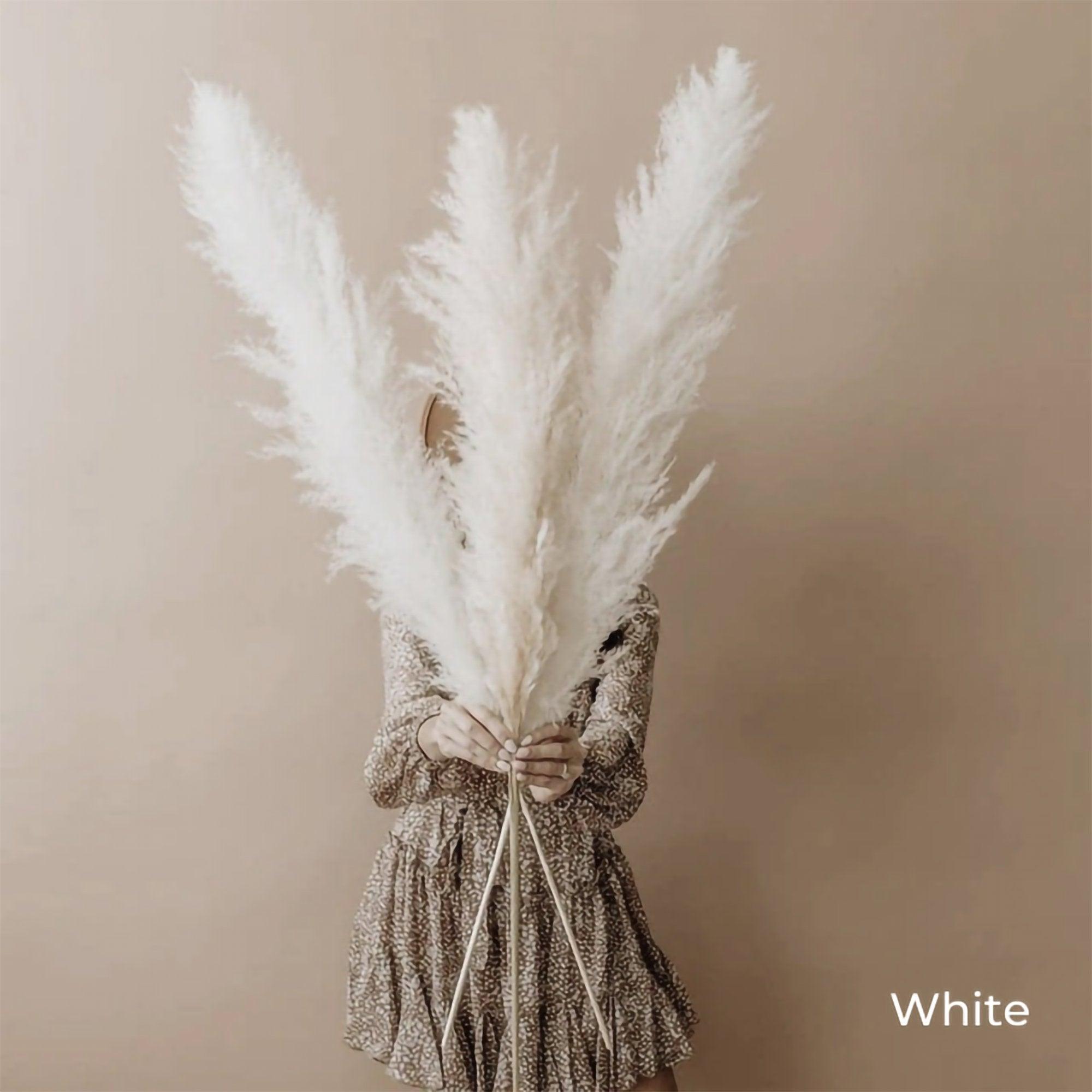 Maliben | 80 Cm Natural, Real Dried Pampas Grass Bouquet (White / Beige / Gray) │ Fluffy Feather For Modern Boho Home Decor