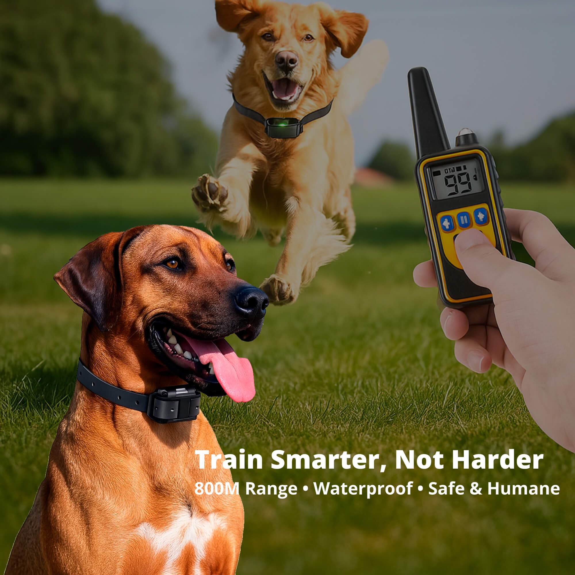 Maliben | 800M Rechargeable Electric Dog Training Collar | Waterproof, Remote Control & Ideal for Effective Dog Training