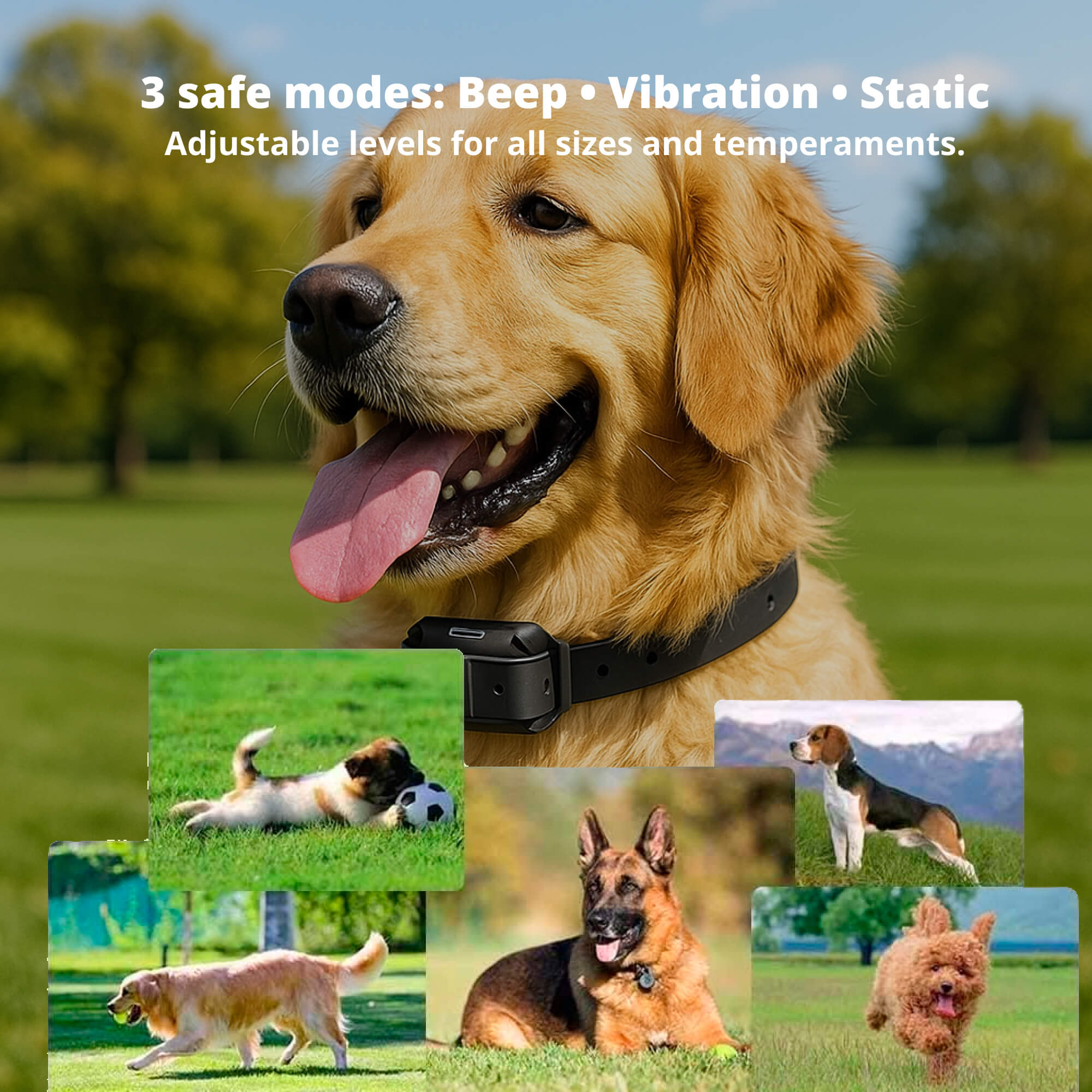 Maliben | 800M Rechargeable Electric Dog Training Collar | Waterproof, Remote Control & Ideal for Effective Dog Training