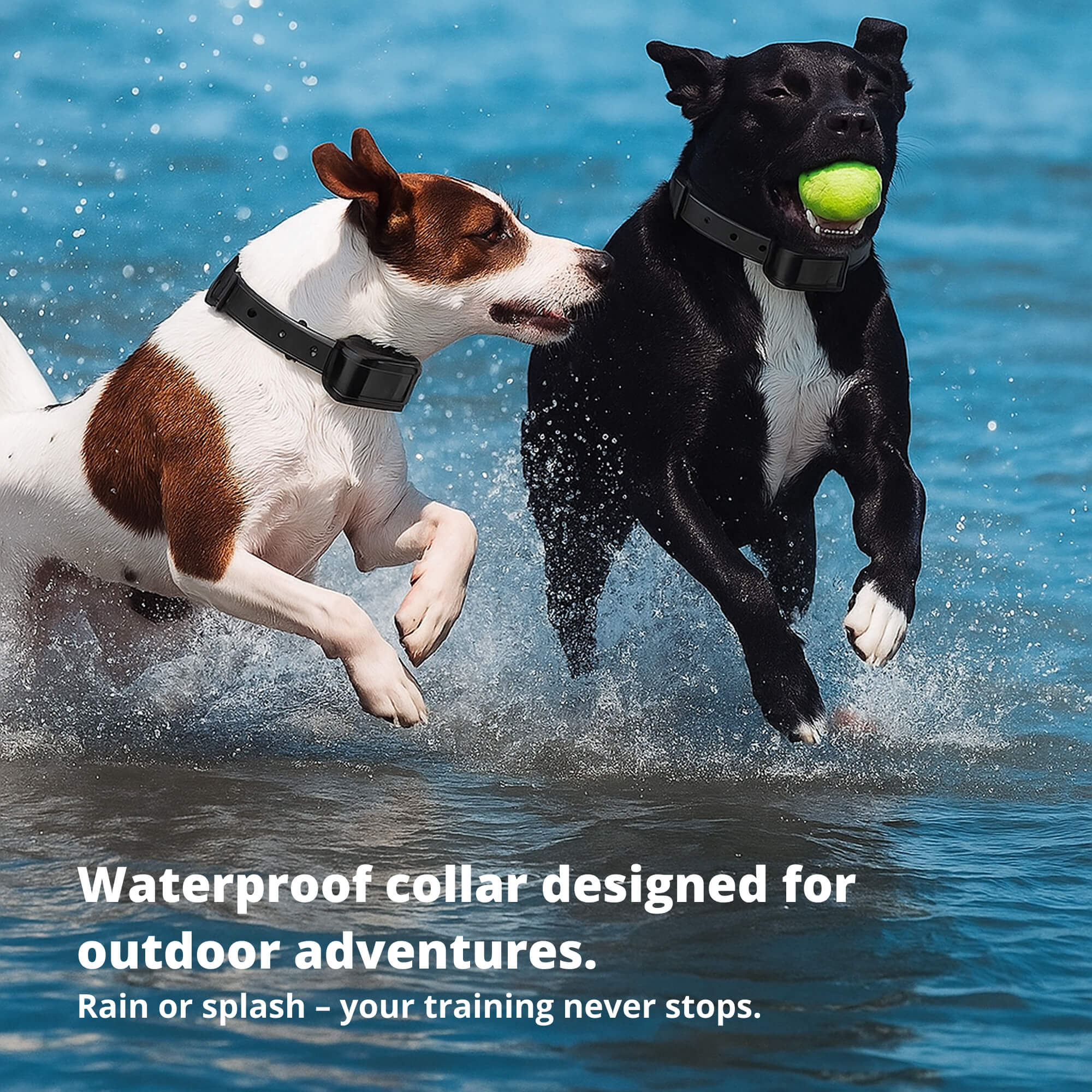 Maliben | 800M Rechargeable Electric Dog Training Collar | Waterproof, Remote Control & Ideal for Effective Dog Training