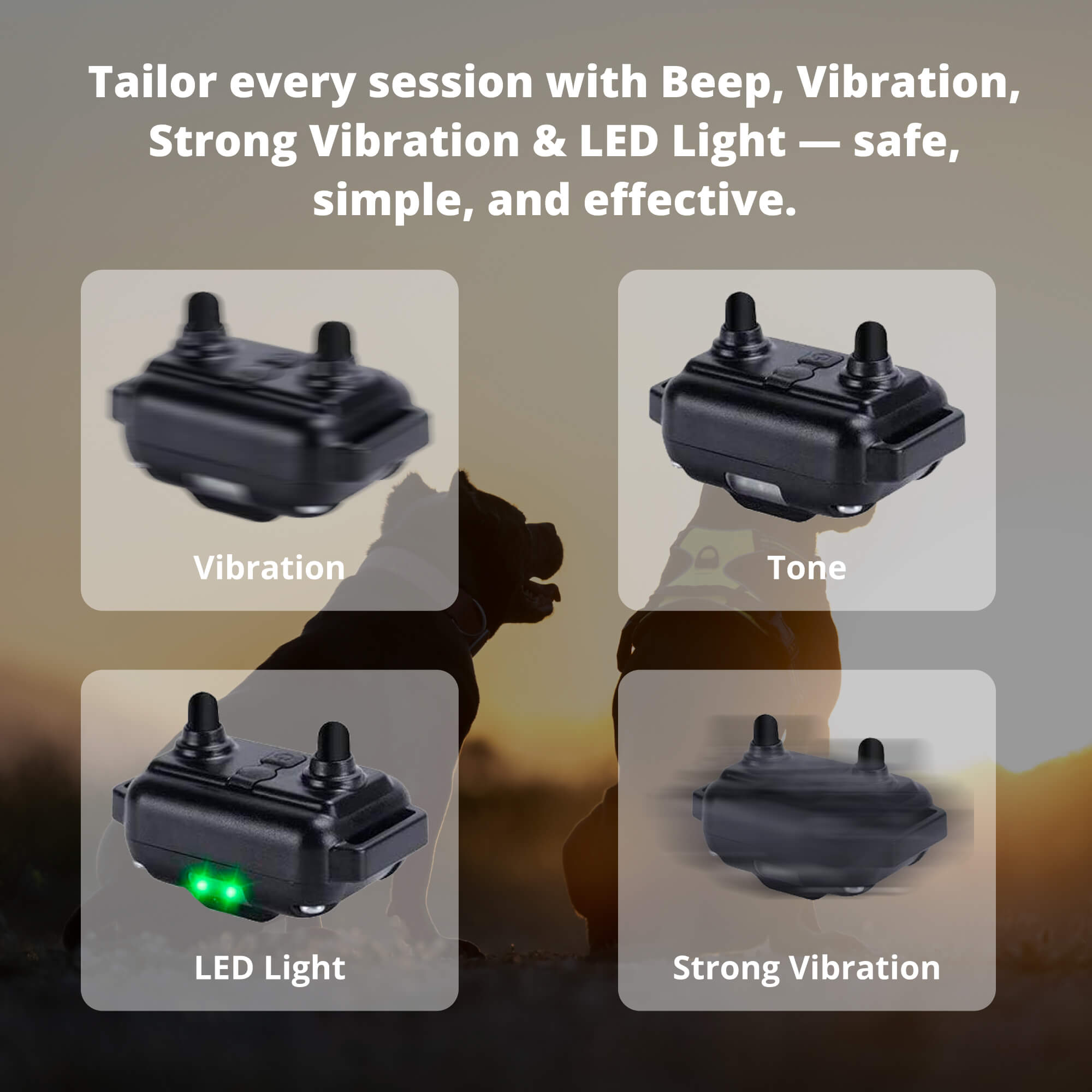Maliben | 800M Rechargeable Electric Dog Training Collar | Waterproof, Remote Control & Ideal for Effective Dog Training