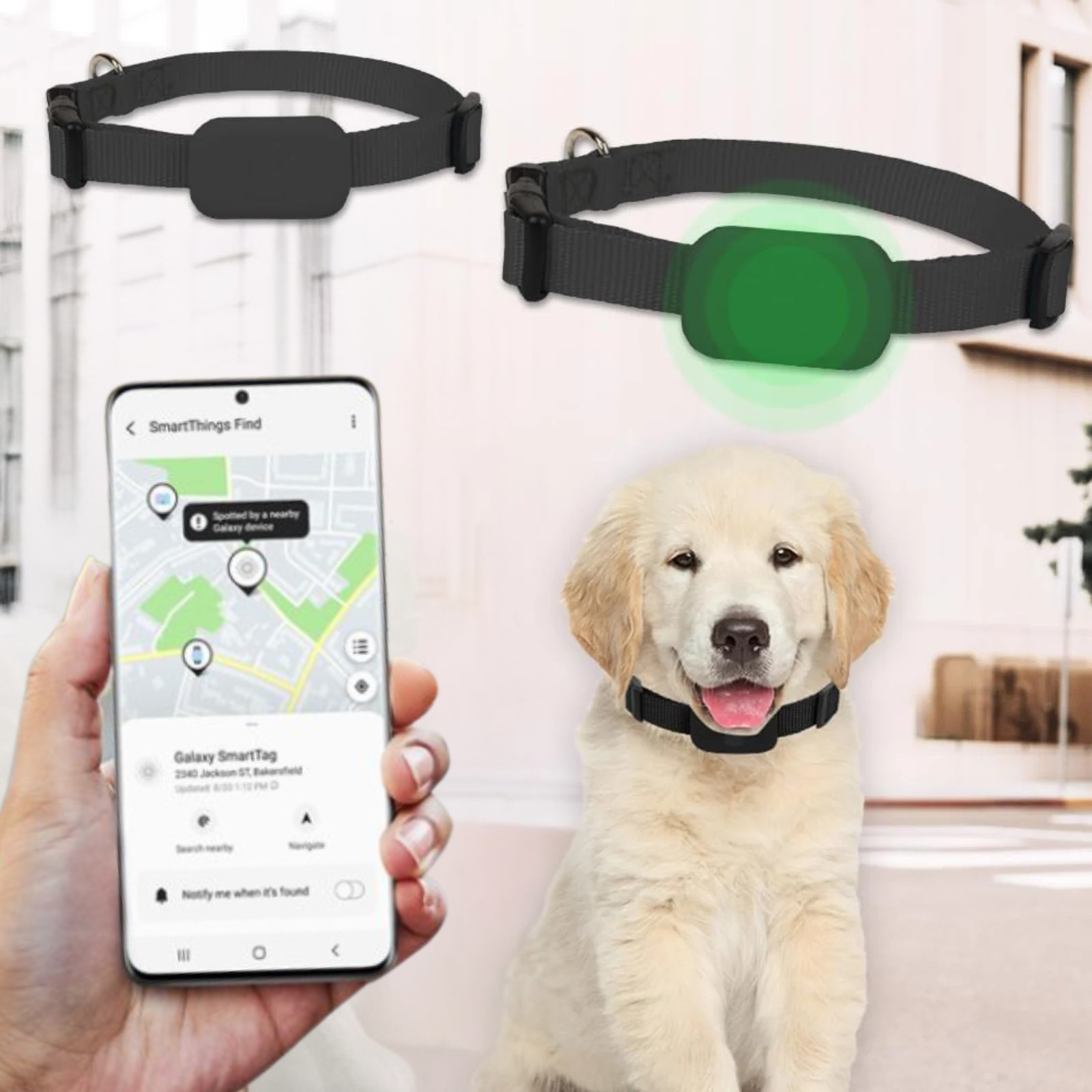 Maliben | AnimalTracker Mini – Smart Dog and Cat Bluetooth Collar Tracker