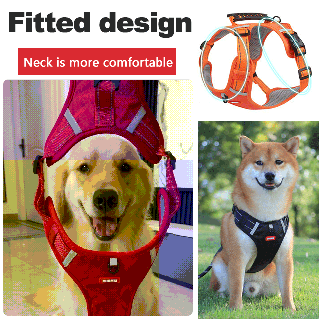 Maliben | No Pull Dog Harness for Pets
