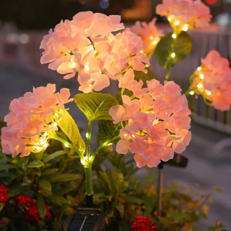Maliben | Everbloom Solar Flower Lights
