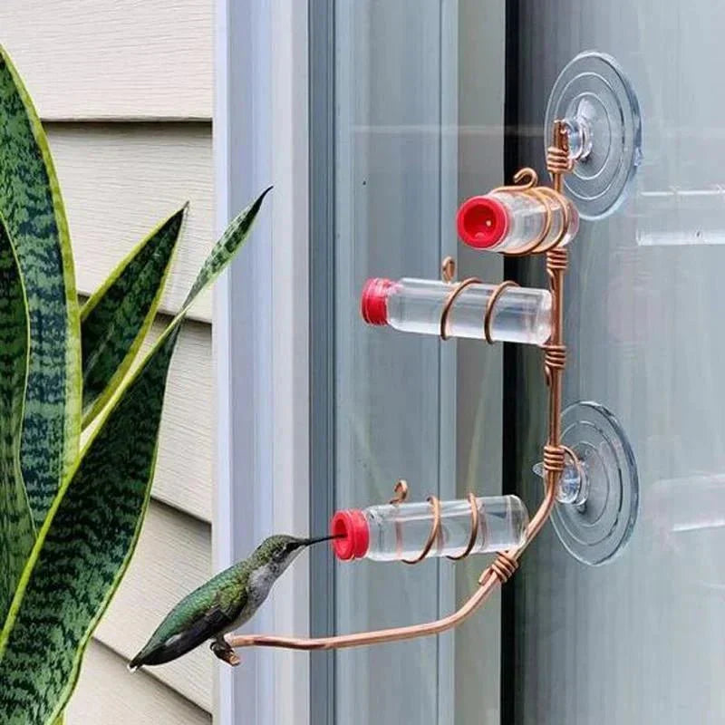 Maliben | Window Nectar - See The Birds Up Close - Wonder Guaranteed
