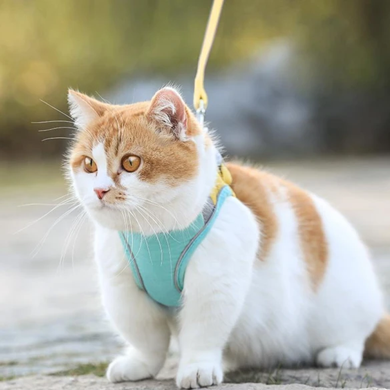 Maliben | Cat Vest Harness and Leash Set