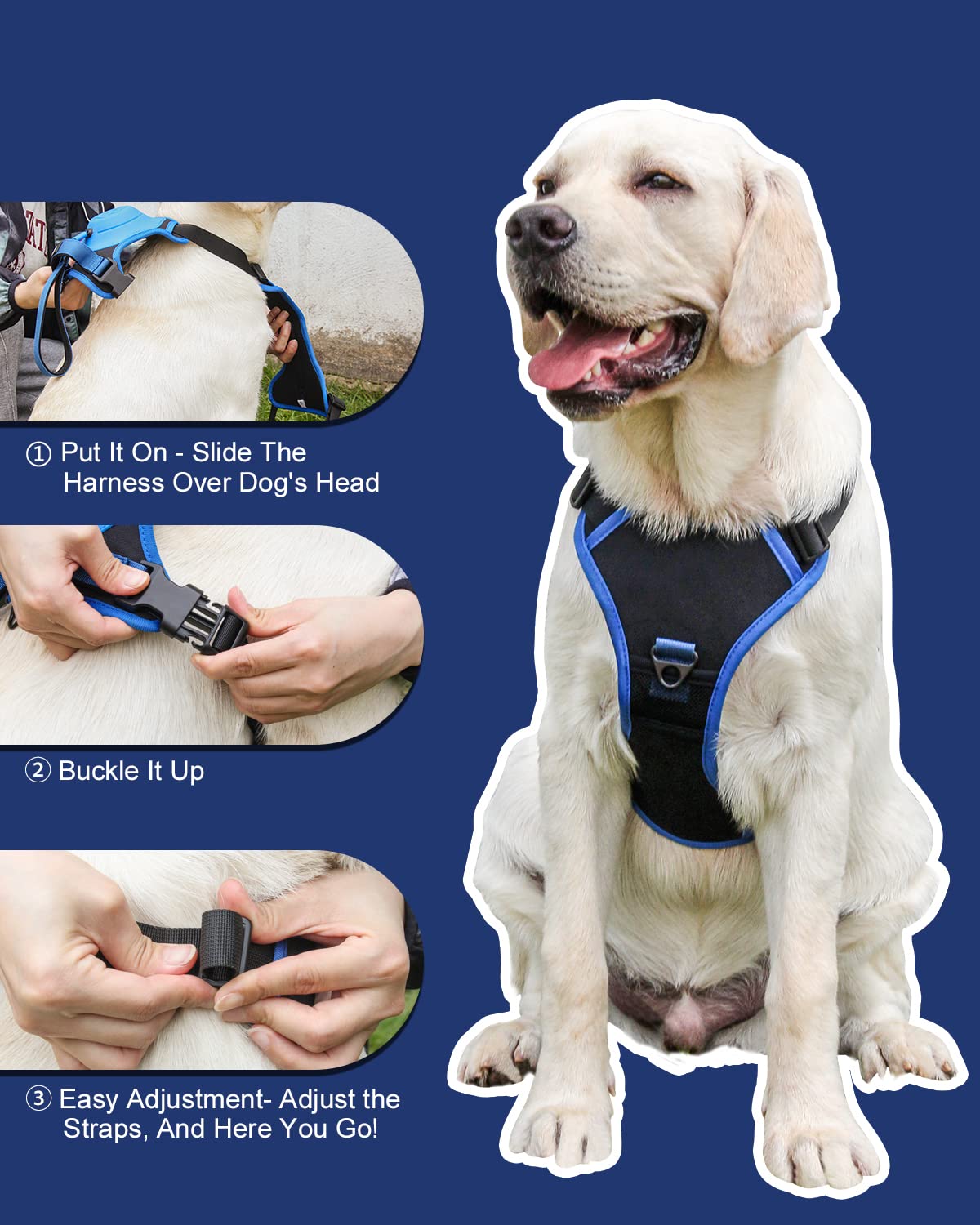 Maliben | mamymarket™ - Dog Harness and Retractable Leash Set All-in-One