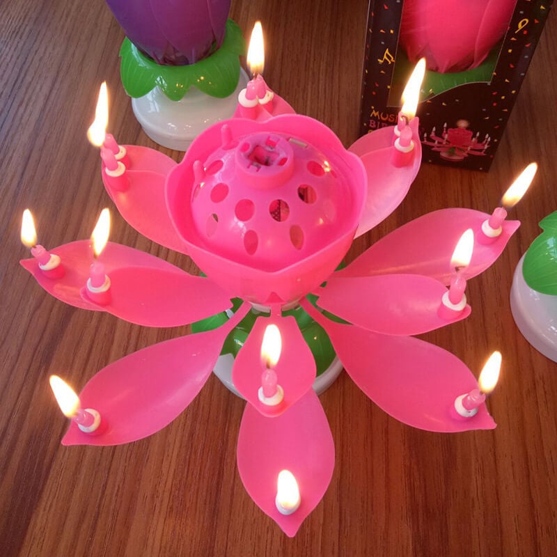 Maliben | 🎂Magic Flower Birthday Candle