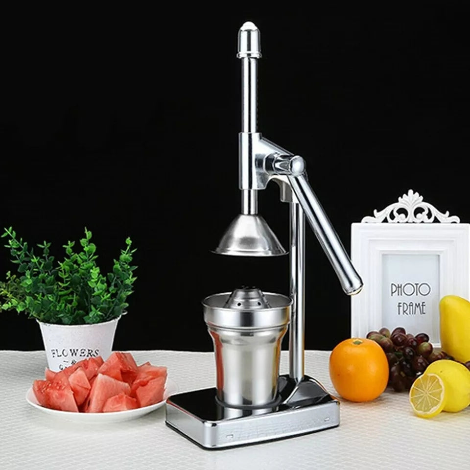 Maliben | Stainless Steel Fruit Juicer
