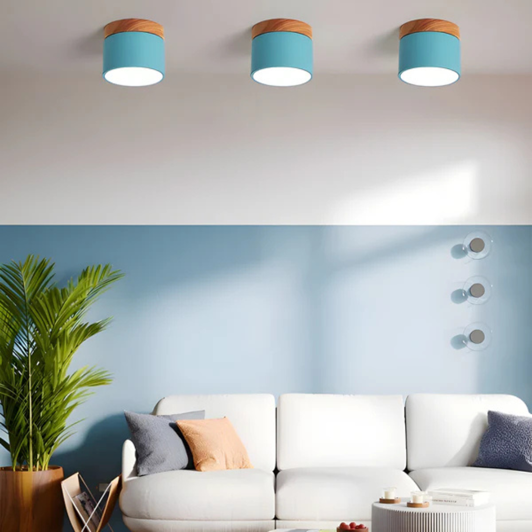 Maliben | Vintage Led Ceiling Lamp