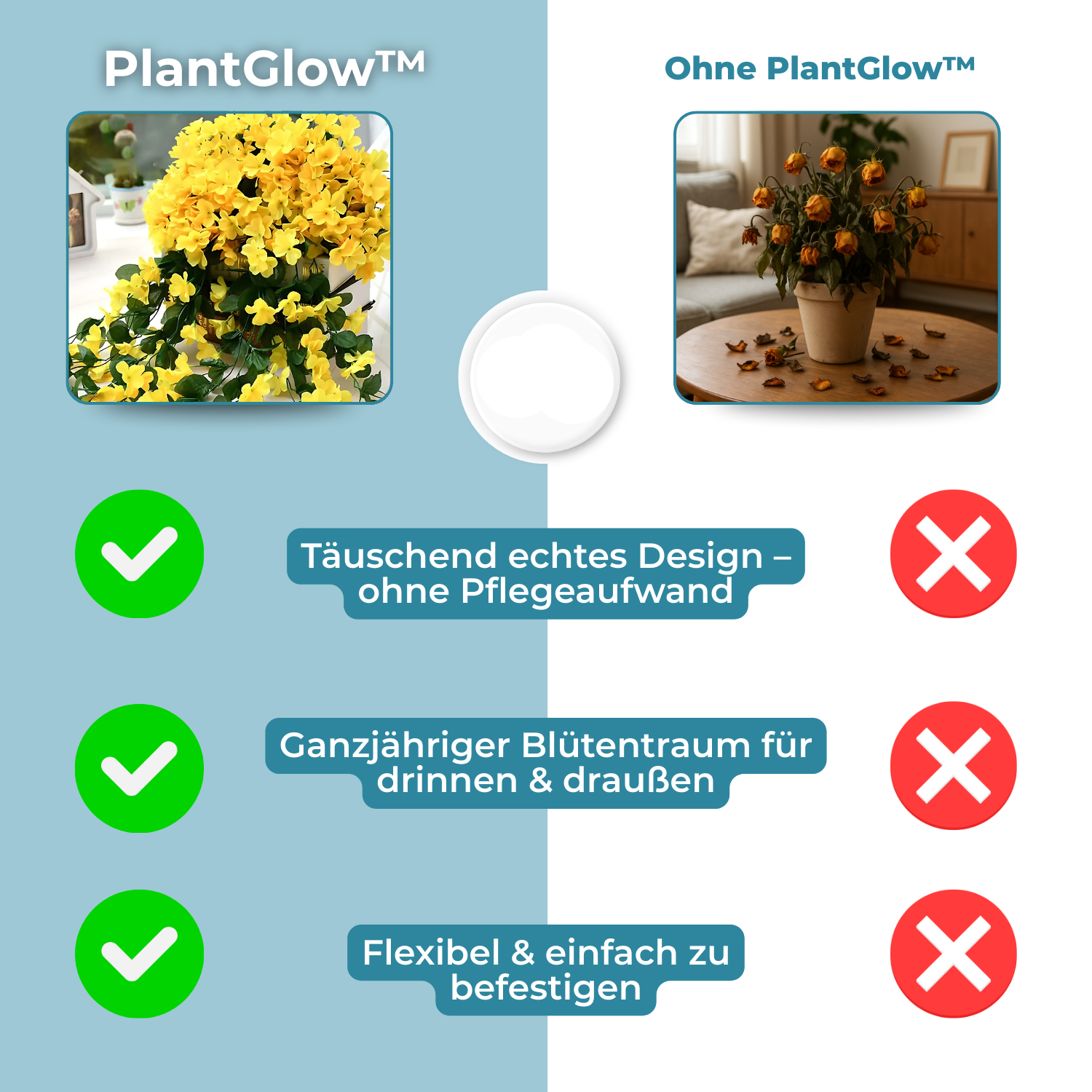 Maliben | Plantglow – Natural Elegance, Permanently Fresh [Last Day Discount]