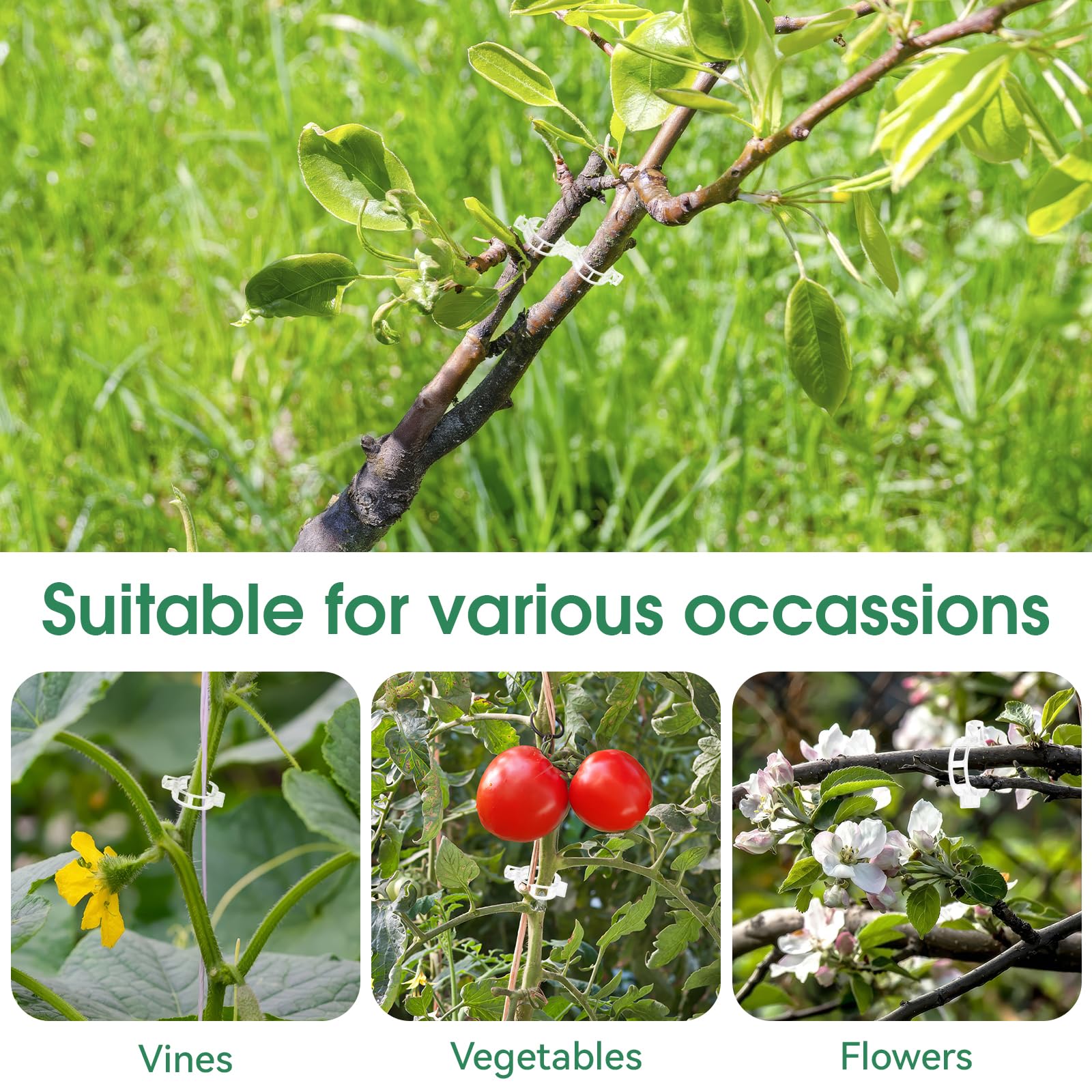 Maliben | Tomato Clips, Plastic Trellis Clips