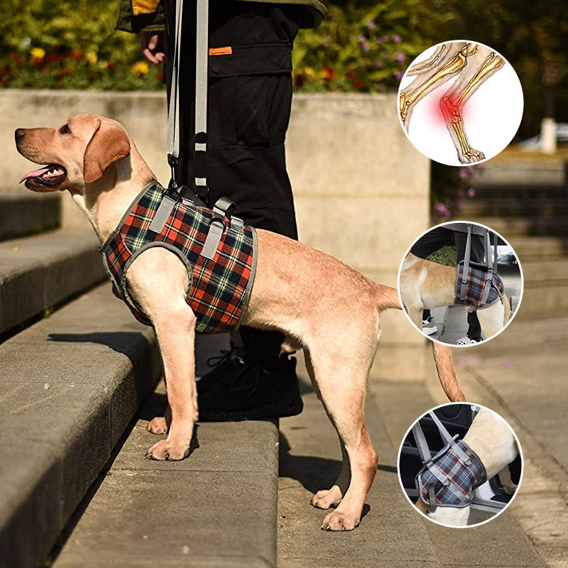 Maliben | Orthopedic Rear Leg Support Harness for Dogs – Ideal for Arthritis, Hip Dysplasia & Mobility Aid
