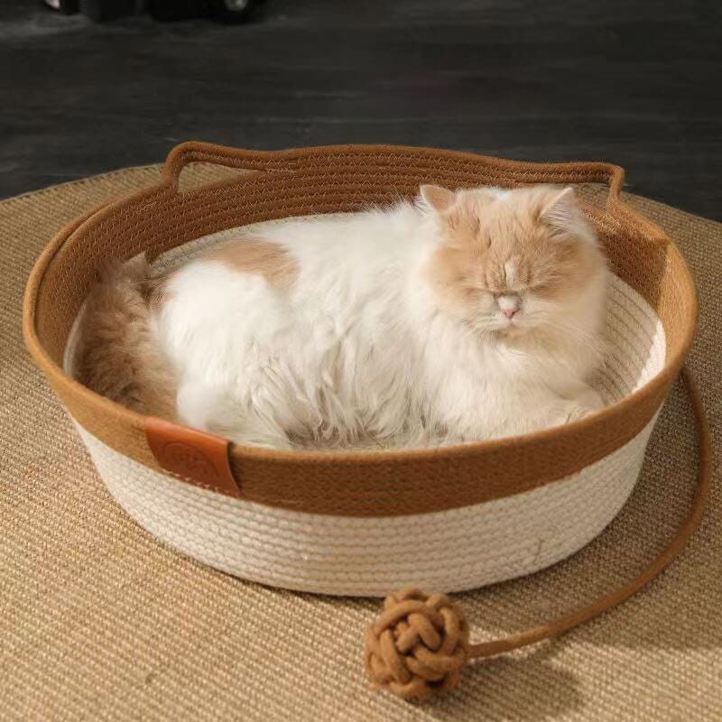 Maliben | Frostfell Chillout - The Cool Retreat That Keeps Your Cat Relaxed And Fresh Forever