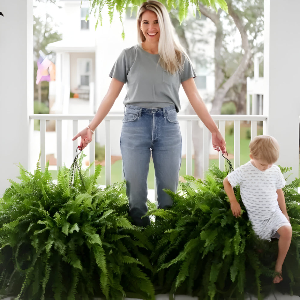 Maliben | Artificial Boston Fern Home Decor Plant