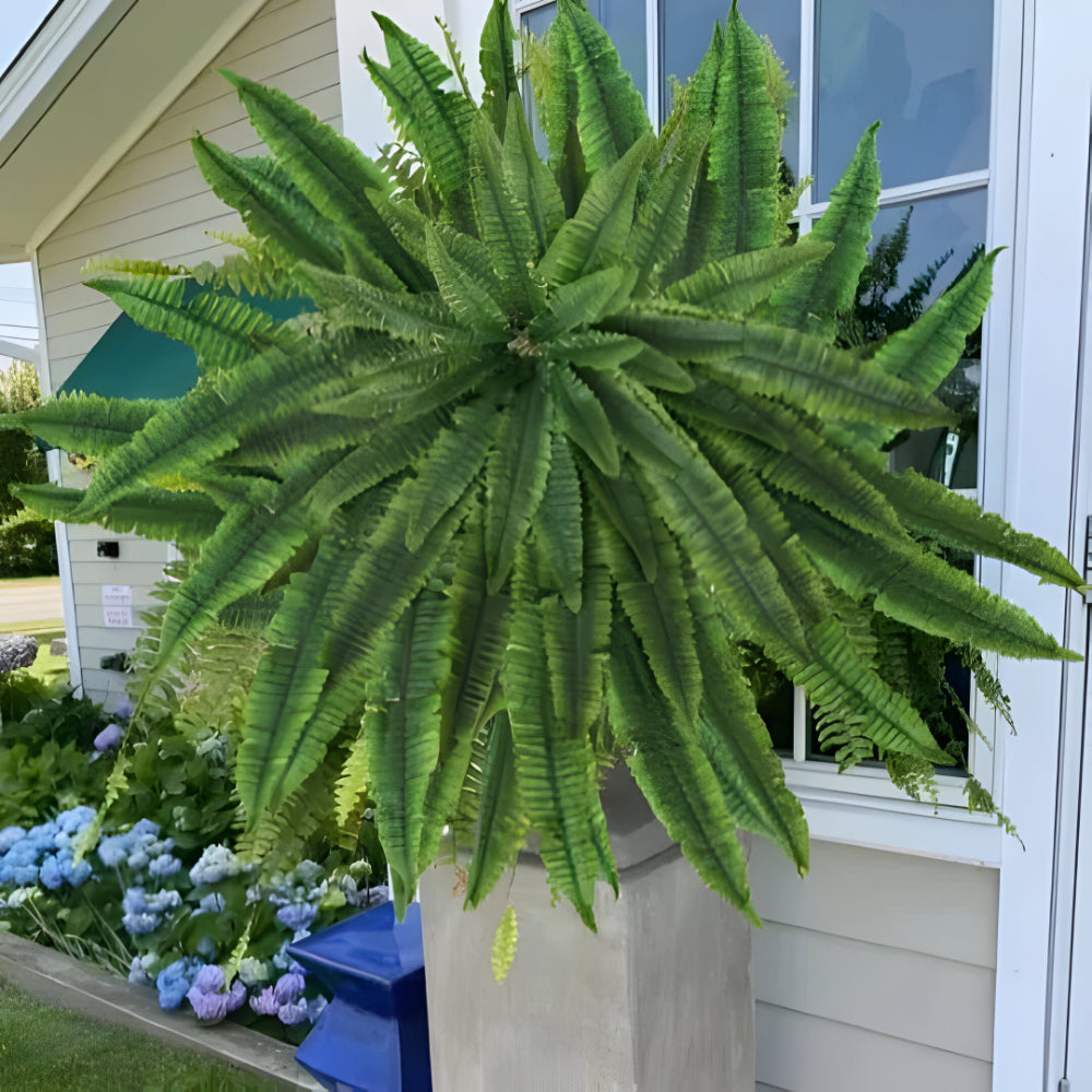 Maliben | Artificial Boston Fern Home Decor Plant