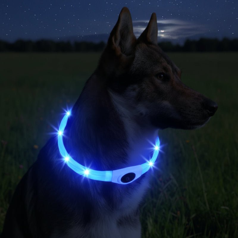 Maliben | LED Light Collar for Dogs for Safe Walks at Night