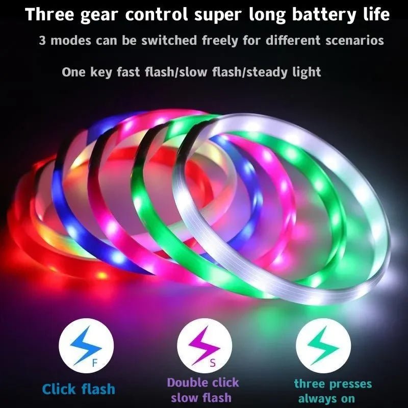 Maliben | LED Light Collar for Dogs for Safe Walks at Night