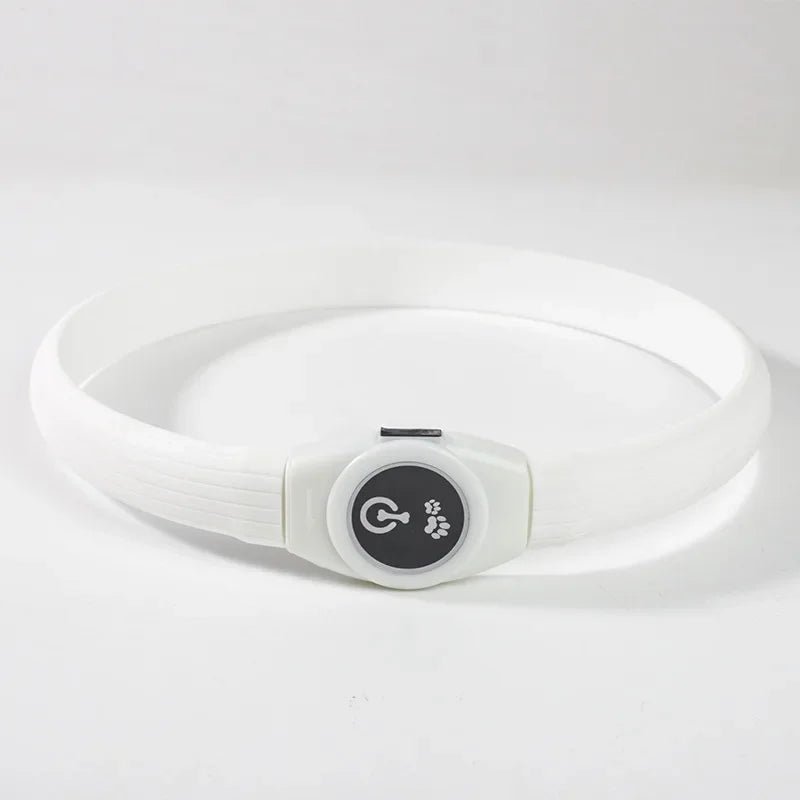 Maliben | LED Light Collar for Dogs for Safe Walks at Night