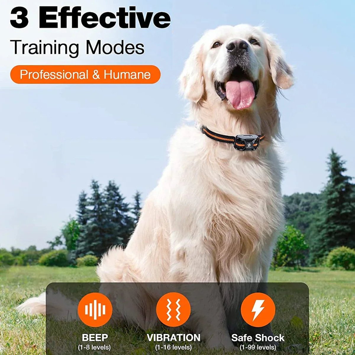 Maliben | Professional 1000 m Remote Training Collar for Dogs