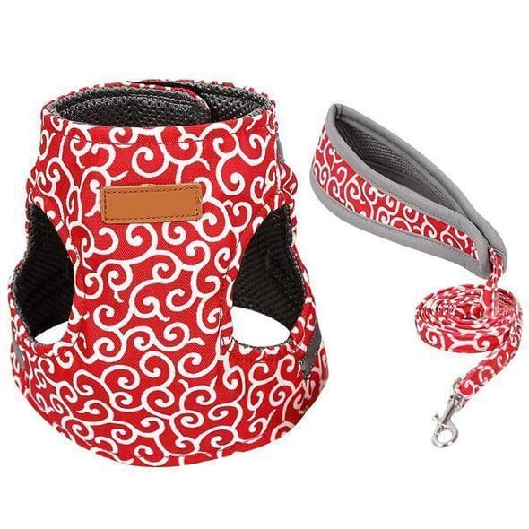 Maliben | Cat vest harness and leash set for walks