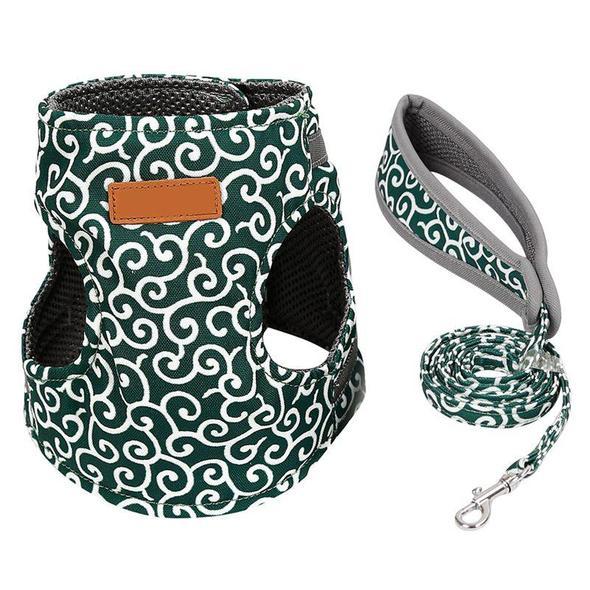 Maliben | Cat Vest Harness and Leash Set to Outdoor Walking