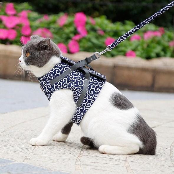 Maliben | Cat vest harness and leash set for walks