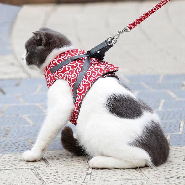 Maliben | Cat Vest Harness and Leash Set to Outdoor Walking