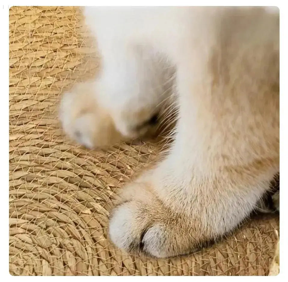 Maliben | Cozypets – Super soft and comfortable cat bed