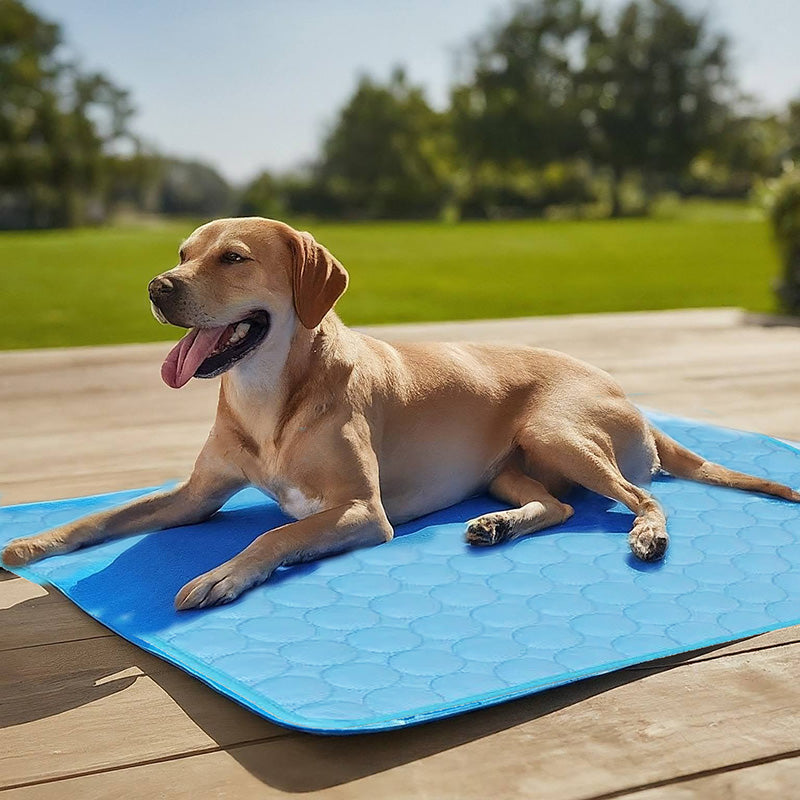 Maliben | Self-Cooling Mat for Four-Legged Friends Ideal for Hot Summer