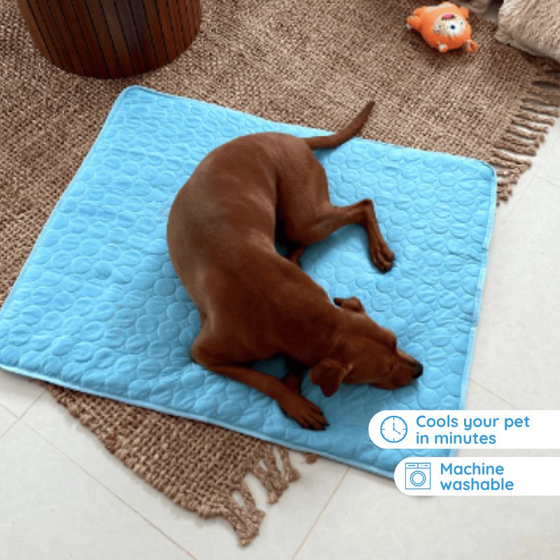 Maliben | Self-Cooling Mat for Four-Legged Friends Ideal for Hot Summer