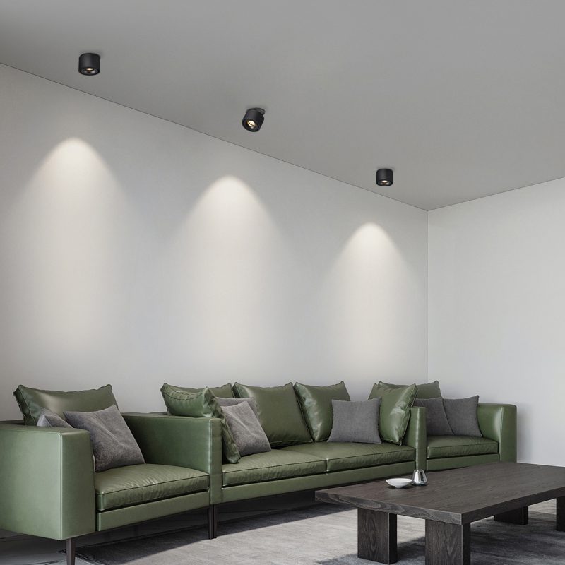 Maliben | Adjustable CylInder Built-in Led Ceiling Lamp