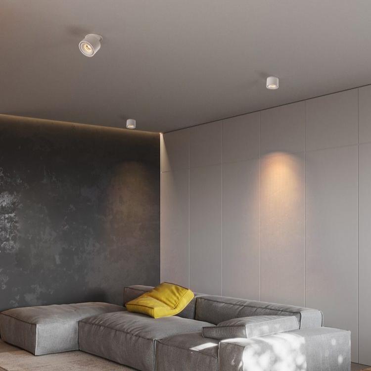 Maliben | Adjustable CylInder Built-in Led Ceiling Lamp