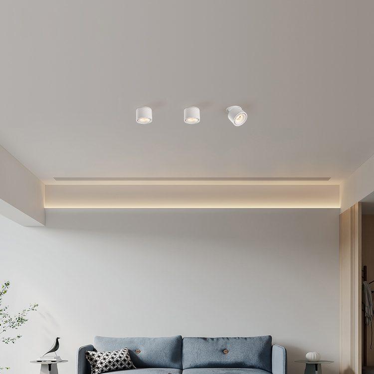 Maliben | Adjustable CylInder Built-in Led Ceiling Lamp