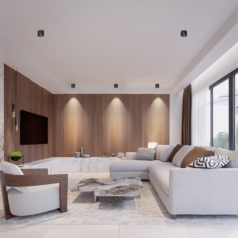 Maliben | Adjustable CylInder Built-in Led Ceiling Lamp