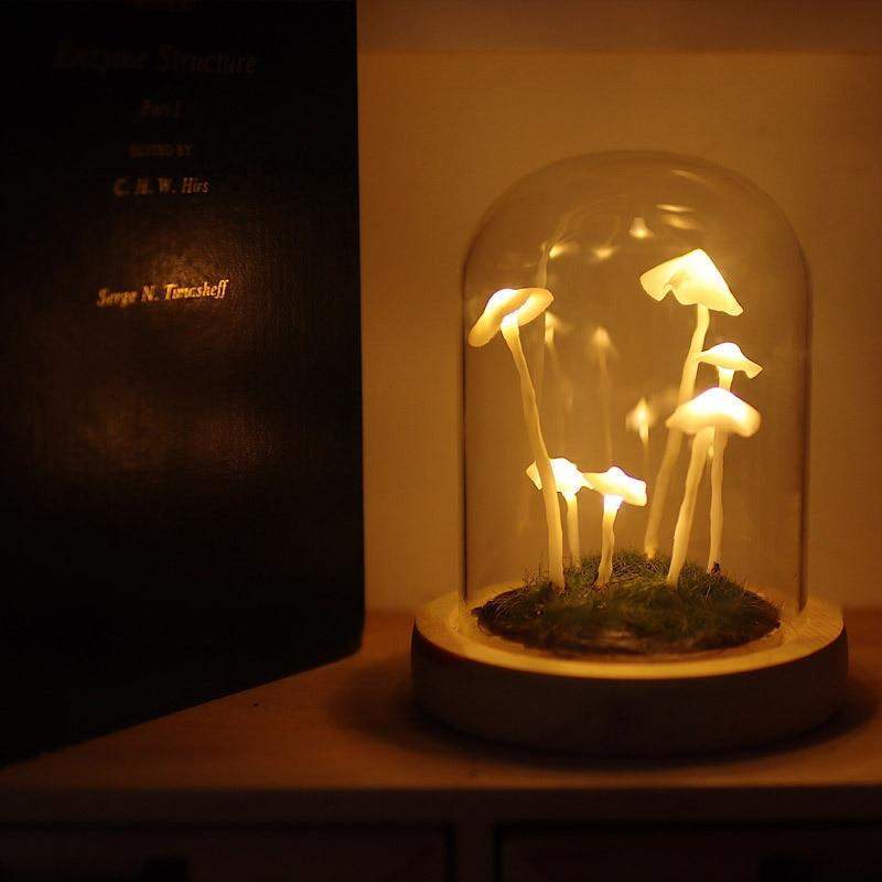 Maliben | Mycojar - Make Your Own Mushrooms - Natural Glass Diy - Awaken Your Creativity