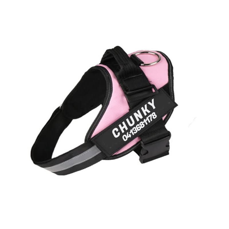 Maliben | DOGSAFE HARNESS – Safety dog harness with name tag & reflectors