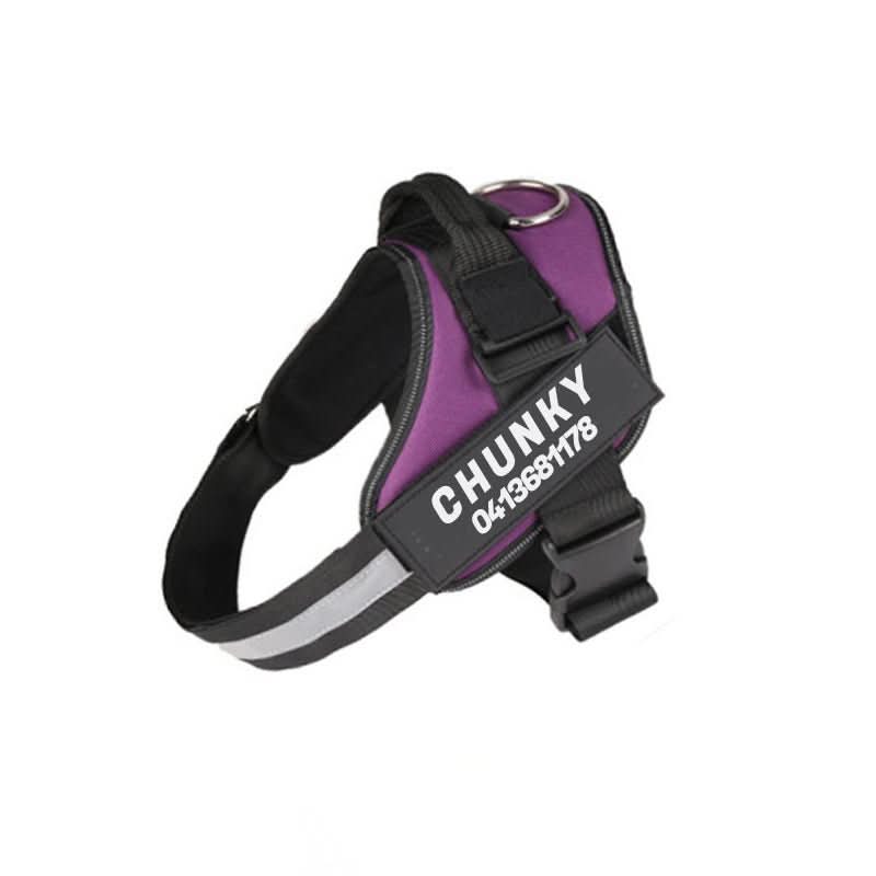 Maliben | DOGSAFE HARNESS – Safety dog harness with name tag & reflectors