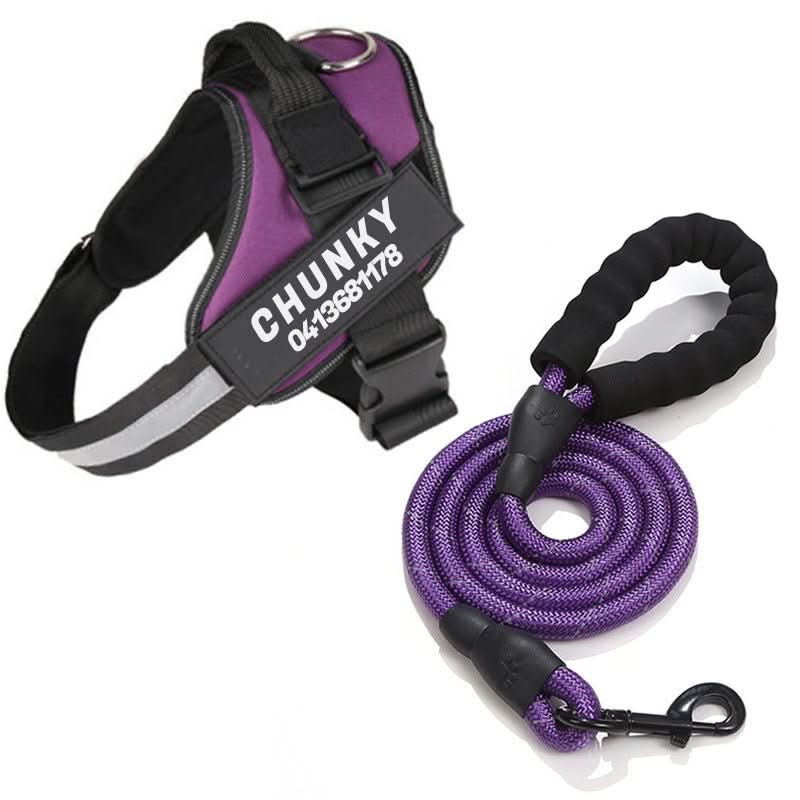 Maliben | DOGSAFE HARNESS – Safety dog harness with name tag & reflectors
