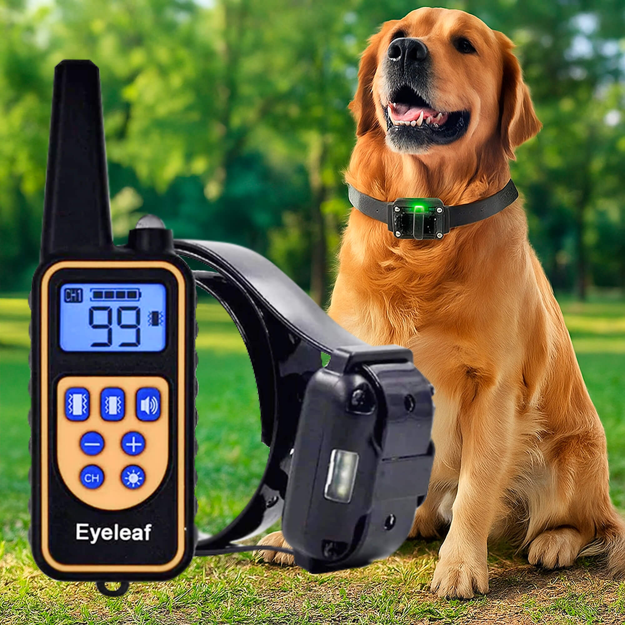 Maliben | 800M Rechargeable Electric Dog Training Collar | Waterproof, Remote Control & Ideal for Effective Dog Training