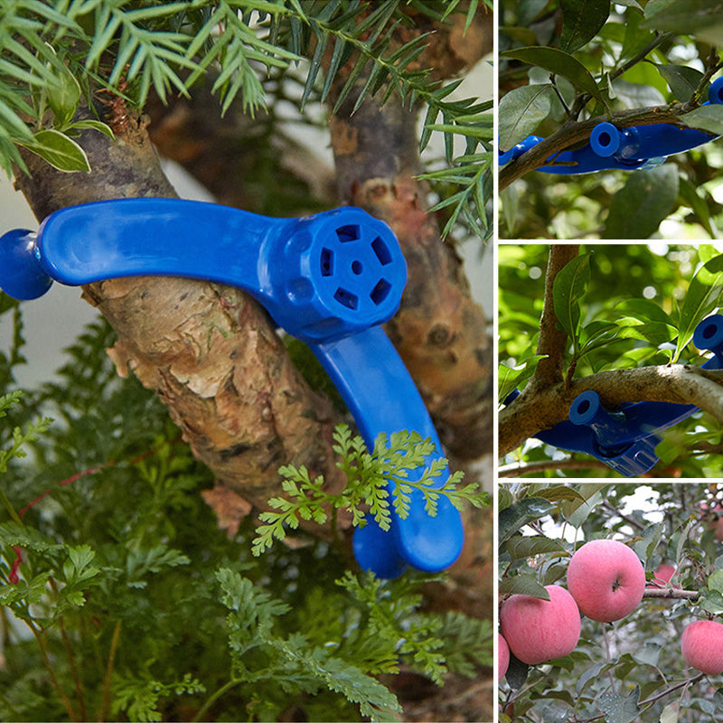 Maliben | Fixative For Branch Modeling